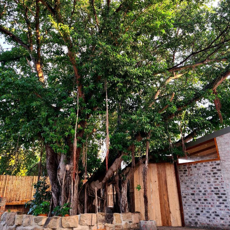Uthando Backpackers Lodge オーツホーン エクステリア 写真